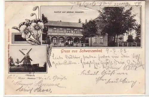 53415 Ak Salutation de Schwarzenbek Windmühle et auberge pour la belle vue 1903