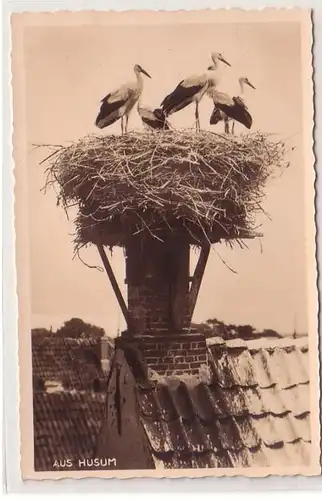 53315 Ak aus Husum Storchennest mit 4 Störchen um 1933