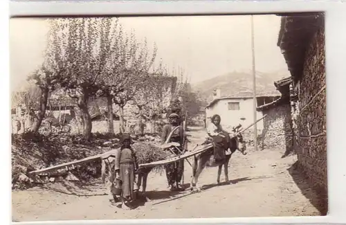 53226 Ak Mazedonien Esel als Tragtiere für Pflüge 1. Weltrkieg um 1916