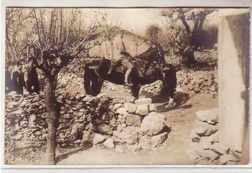 52883 Photo Ak Macédoine Maître de cheval Andreae 1. Rkieg du monde vers 1916