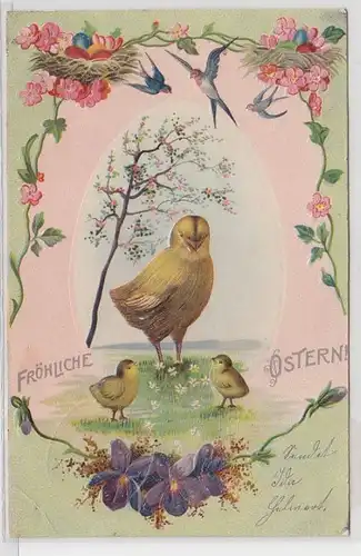 52825 Fröhliche Ostern Präge Ak Küken und Schwalben 1904