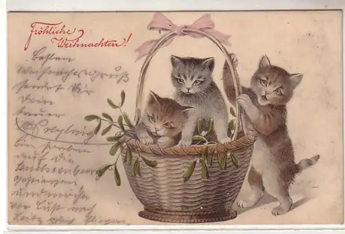 52783 Noël Ak 3 chatons avec panier 1907