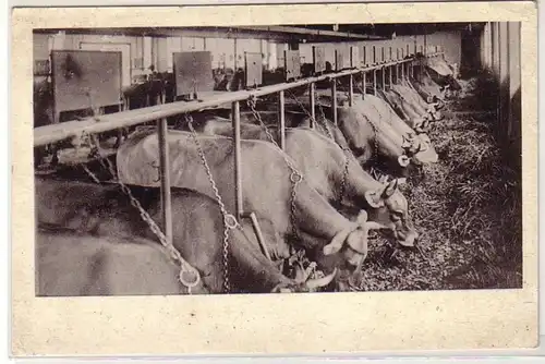 52174 Ak Benningen (Allgäu) Hof Bernhard vers 1930