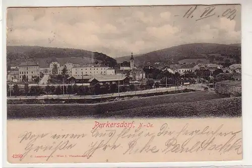 52033 Ak Purkersdorf in Niederösterreich Totalansicht 1902