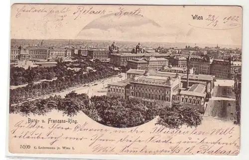 52029 Ak Wien Burg- und Franzensring 1902