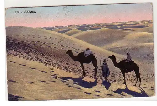 51972 Ak Sahara Karavane de chameau dans le désert 1911