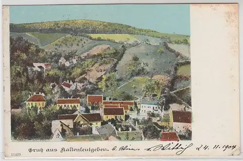 51933 Ak Gruß aus Kaltenleutgeben in Niederösterreich Totalansicht 1904