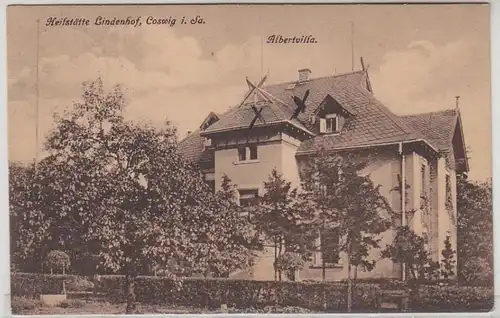 51732 Ak Coswig in Sa. Heilstätte Lindenhof Albertvilla um 1920