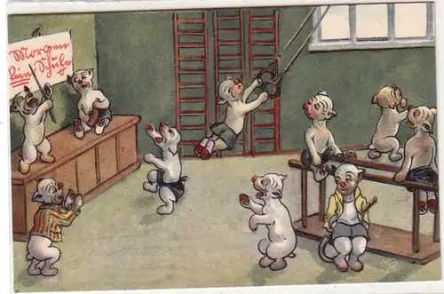 51502 Humour Ak chiens dans la salle de gym autour de 1920