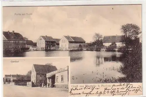 51501 Mehrbild Ak Gruß aus Plagwitz bei Püchau Gasthof, Partie am Teich 1916