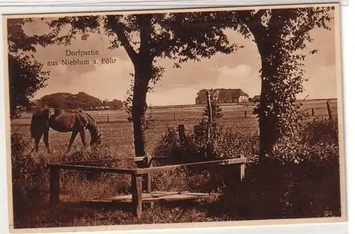 51401 Ak Dorfpartie aus Nieblum auf Föhr um 1930