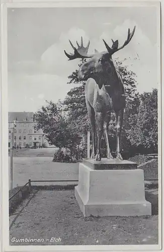 51220 Ak Gumbinnen Elch en Prusse orientale 1938