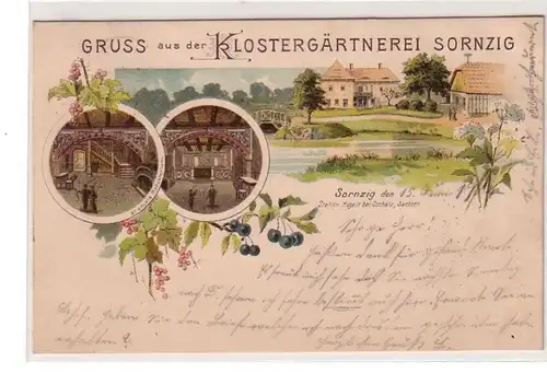 51119 Ak Lithografie Gruss aus der Klostergärtnerei Sornzig bei Mügeln 1904