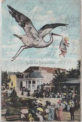 50922 Ak Gruss aus Franzensbad Klapperstorch mit Baby 1905