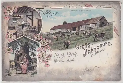 50787 Ak Lithographie Salutation de la Grosse-Hahneburn en Alsace 1904