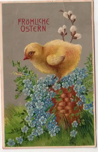 50729 Oster Präge Ak Küken und Vergissmeinnicht um 1905