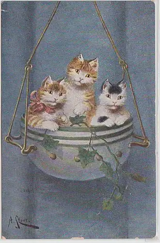 50719 Artiste Ak 3 chatons dans pot de fleurs vers 1910