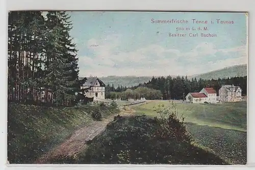 50619 Ak Sommerfrische Tenne im Taunus 1906