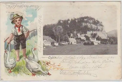 50562 Ak Oybin mit Junge beim Gänsehüten 1902