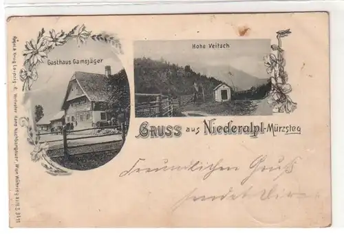 50500 Ak Salutation de Niederalpl Mürzsteg Gasthaus Gamsjäger 1903