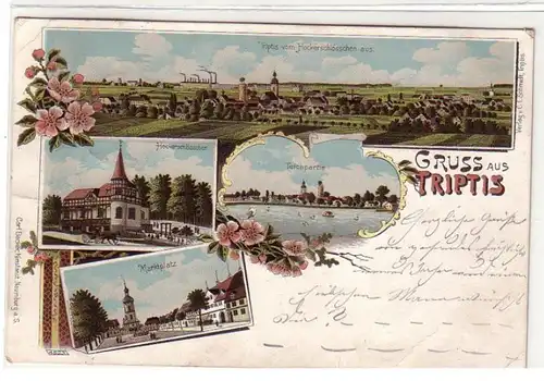 50460 Ak Lithographie Gruß aus Triptis Restaurant 1899