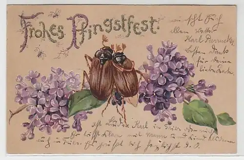 50449 Pentecôte Ak Paur de Maikoccinelle assis sur la branche de lilas 1903