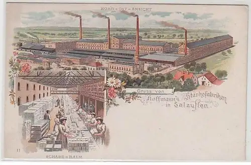 50416 Ak Lithographie Gruß von Hofmann's Stärkefabriken in Salzuflen um 1900