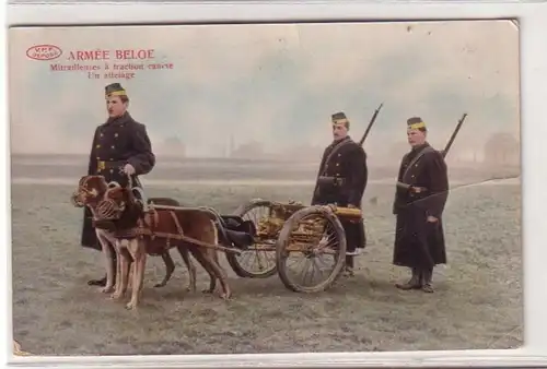 50372 Ak Armee Belgien Hundegespann mit Maschinengewehr 1915