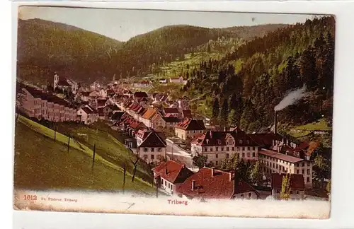 50271 Ak Triberg Vue totale 1913