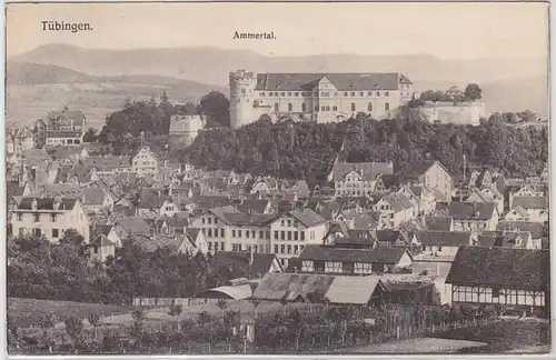 50052 Ak Tübingen Ammertal Vue totale 1911