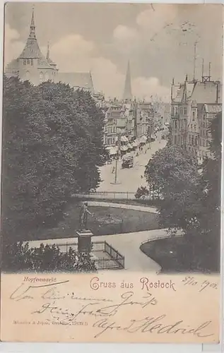 49838 Ak Gruß aus Rostock Hopfenmarkt 1901