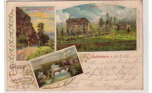 49804 Ak Gruß vom Wurzelberg Schönborn 1901