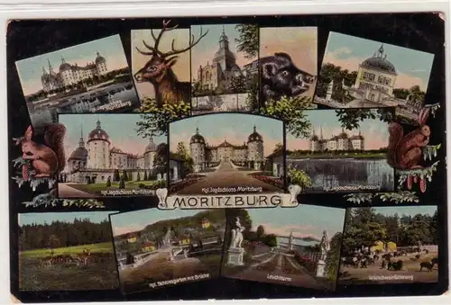 49722 Mehrbild Ak Moritzburg Jagdschloß usw. 1918