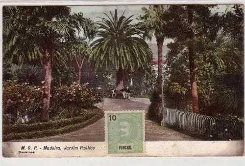 49652 Ak Madeira Funchal Portugal Jardim Publico um 1910