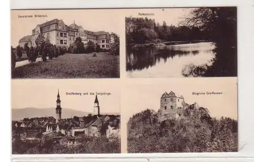 48950 Ak Sanatorium Birkenhof b. Greiffenberg 1924