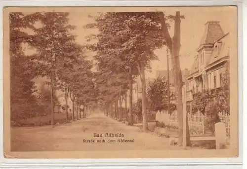 48933 Ak Bad Altheide Straße nach dem Höllental um 1930