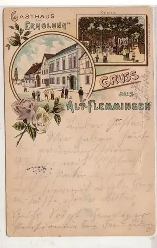 48530 Ak Lithographie Gruß aus Alt-Flemmingen 1899