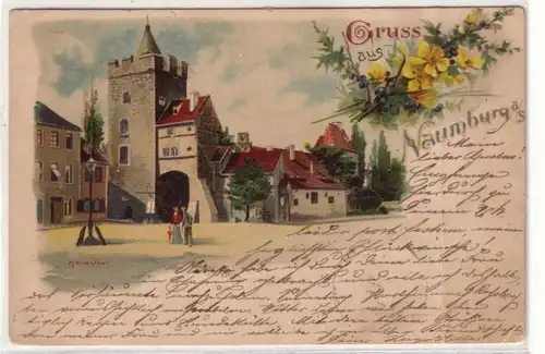 48388 Ak Lithographie Gruss aus Naumburg 1899