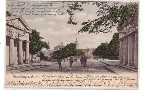 48365 Ak Naumburg a.S. Blick vom Salzthor zum Dom 1903