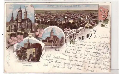 48300 Ak Lithografie Gruss aus Naumburg 1896