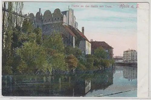 48016 Ak Halle a.S. Partie an der Saale mit Dom 1909