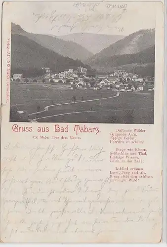 47666 Ak Gruß aus Bad Tabarz Totalansicht 1900