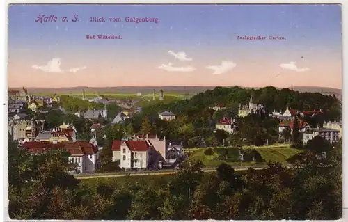 47590 Ak Halle a.S. Blick vom Galgenberg um 1910