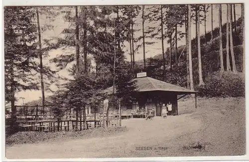 47086 Feldpost Ak Seesen am Harz Waldfrieden 1915