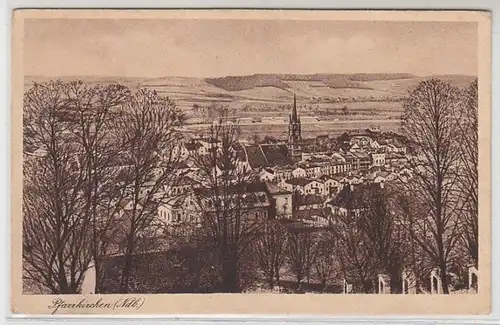 46636 Ak Pfarrkirchen (Ndb.) Gesamtansicht um 1920