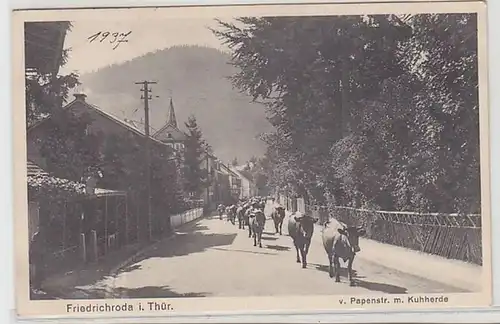 46603 Ak Friedrichroda in Thüringen v. Papenstrasse mit Kuhherde 1937