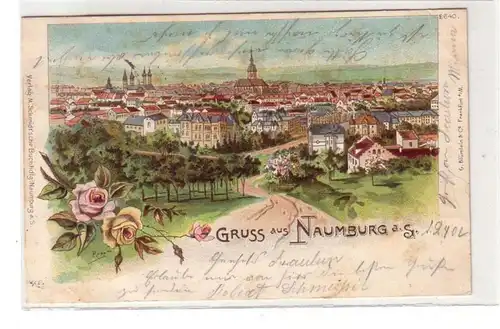 46303 Ak Lithografie Gruss aus Naumburg Gesamtans. 1902