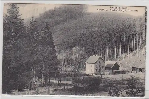 46115 Feldpost Ak Seesen Forsthaus Neckelnberg 1915