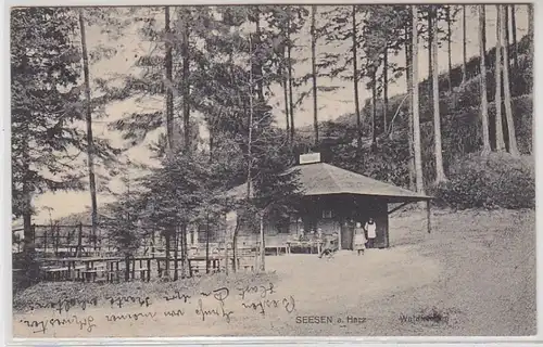 46052 Feldpost Ak Seesen am Harz Waldfrieden 1915