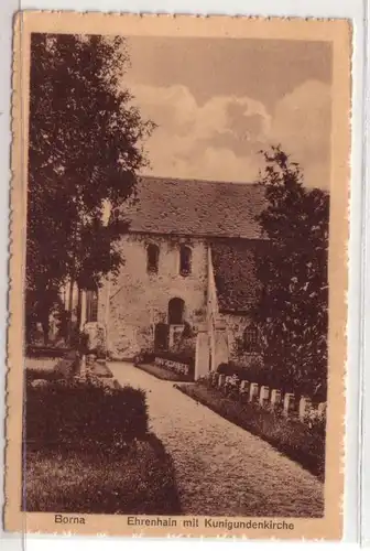 46043 Ak Borna Ehrenhain mit Kunigundenkirche um 1930